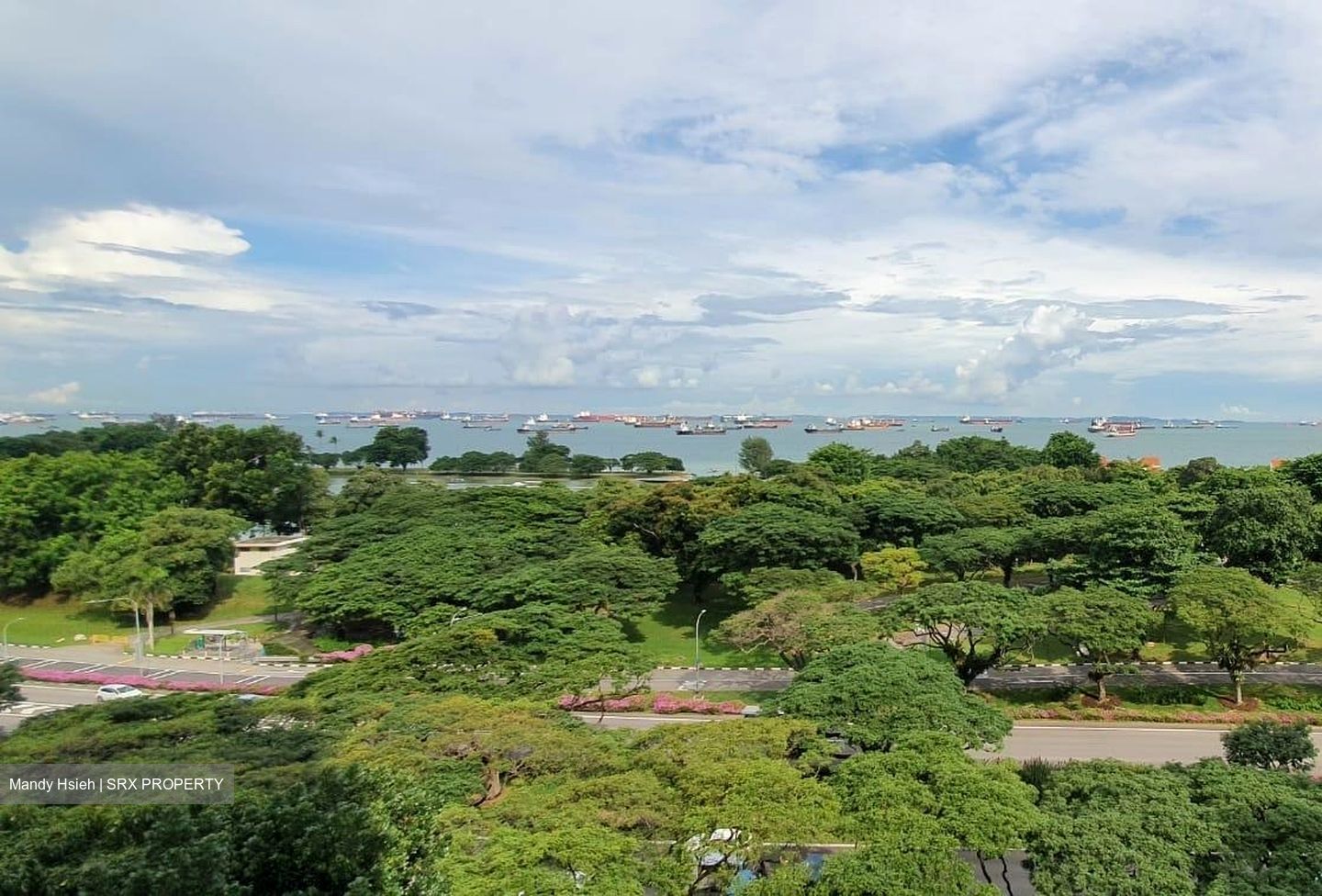 Laguna Park (D15), Apartment #490646071